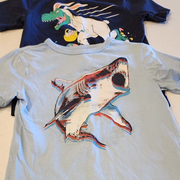 Boys size 5/6 T-shirts (lot of 6) - Picture 3 of 4